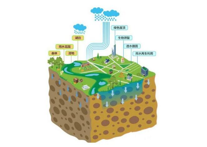 看過(guò)文章“種雨水的人：津巴布韋生態(tài)農(nóng)夫菲力的故事”之后，或許你也很想親手開(kāi)始實(shí)踐，把珍貴的雨水“種”到土壤中，種出一片生機(jī)蓬勃的綠洲